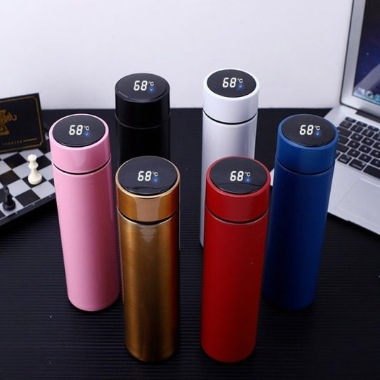 Temperature Display Vacuum Insulated Water Bottle Thermo Flask Made Of Premium Stainless Steel Coffee Cup (random Color